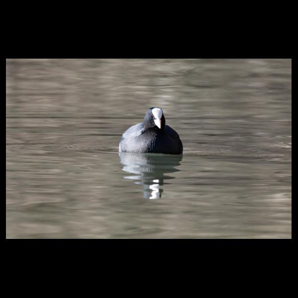 PHOTO84, CLUB, 84 , LUBERON